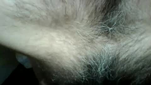 Snapshot of gigigegio chatting on 14, 9, 2025 gigigegio sky online show from 14, 9, 2025