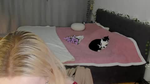 Gin online show from 2, 5, 2026