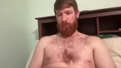 Snapshot of gingermania10 chatting on 19, 12, 2024 gingermania10 online show from 19, 12, 2024