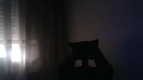 gioshadow online show from 26, 5, 2026