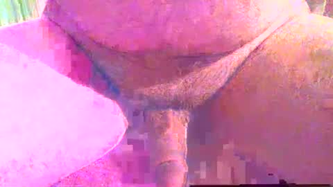 Snapshot of girafsnoop chatting on 1, 12, 2025 girafsnoop online show from 1, 12, 2025