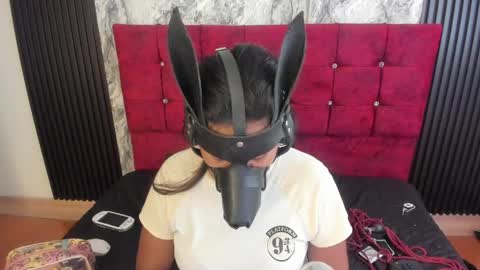 Snapshot of gisellholden_ chatting on 20, 5, 2026 gisellholden_ online show from 20, 5, 2026