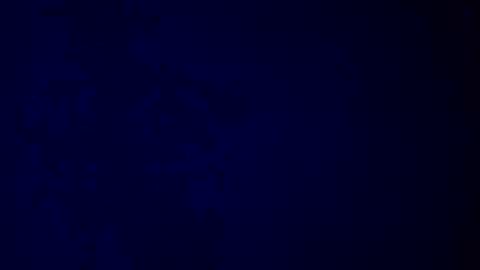 Snapshot of giuseppeciao206 chatting on 16, 12, 2025 elen06 online show from 16, 12, 2025