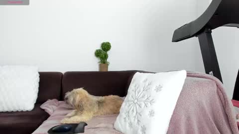 Alice online show from 13, 1, 2026