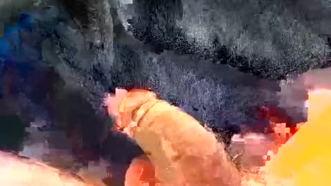 Snapshot of gman41000 chatting on 30, 12, 2024 Gman online show from 30, 12, 2024