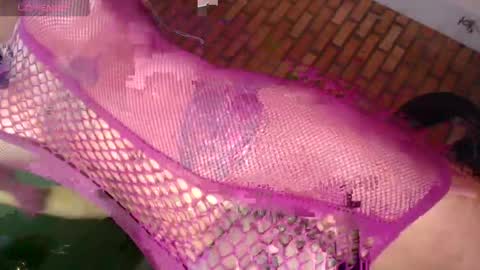 daniela online show from 4, 4, 2026