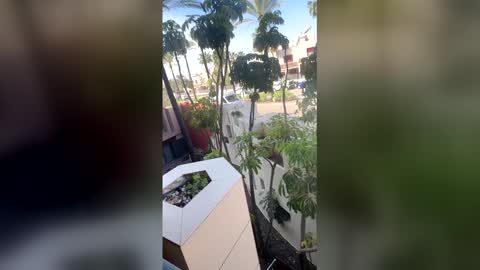 Goddess L online show from 20, 4, 2026