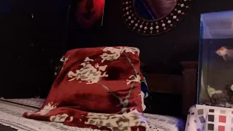 Snapshot of godly_huan chatting on 13, 7, 2026 HUAN online show from 13, 7, 2026