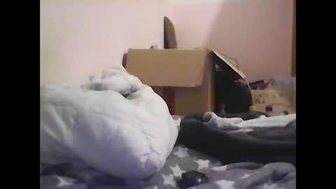 Snapshot of gohan8558 chatting on 9, 11, 2025 gohan8558 online show from 9, 11, 2025