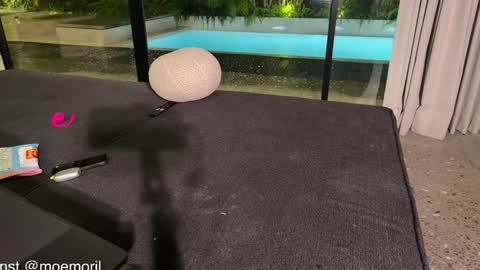 Snapshot of golden_alinee chatting on 22, 2, 2026 Aline meow online show from 22, 2, 2026