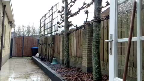   online show from 23, 12, 2024