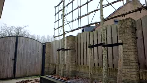   online show from 10, 2, 2025