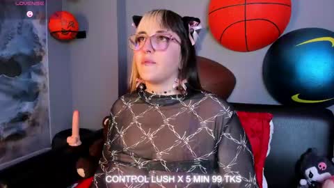 gomory_kitty online show from 20, 5, 2026