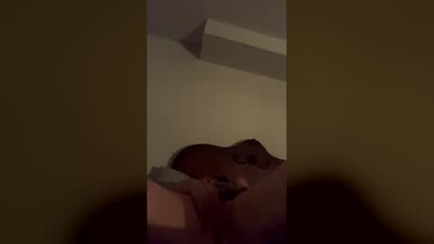 WetWild online show from 15, 4, 2026