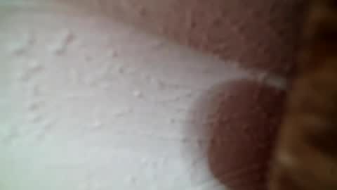 Greedy Good Girl online show from 24, 7, 2026