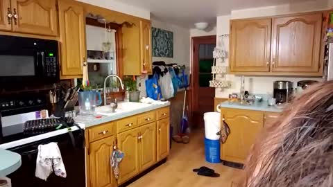 Snapshot of goodgirlcelestecat chatting on 23, 3, 2026 goodgirlcelestecat online show from 23, 3, 2026