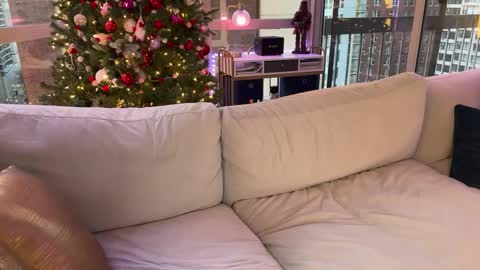 Gracie Mae online show from 17, 1, 2025