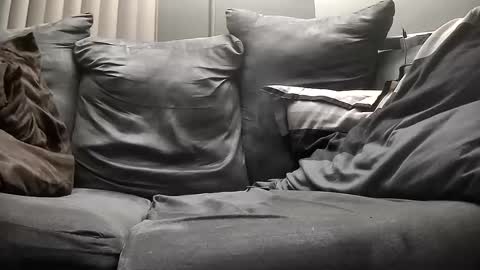 Get US to 1000 you wont be disapointed online show from 14, 12, 2024