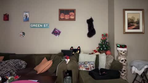 Snapshot of greenxxxqueen chatting on 24, 11, 2025 SexQueen Nikki online show from 24, 11, 2025