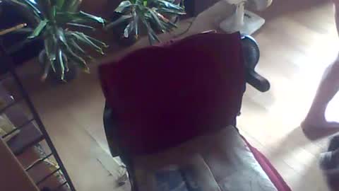Snapshot of gssikstyfor chatting on 26, 7, 2026 Guido online show from 26, 7, 2026