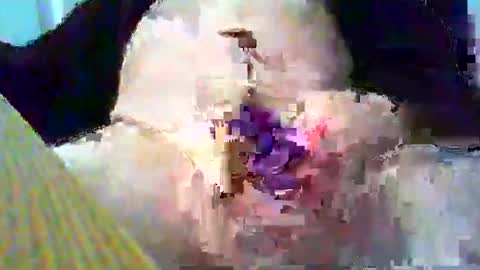 Gary online show from 26, 1, 2025