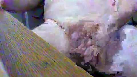 Gary online show from 2, 2, 2025