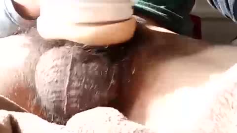 guapopapi88 online show from 12, 1, 2025