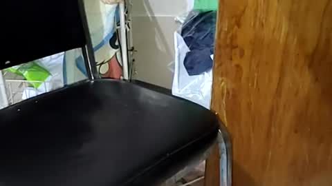 guillermo723 online show from 9, 4, 2026