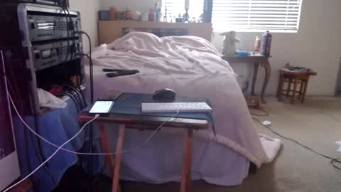 Snapshot of guitarsexgod chatting on 15, 2, 2026 Mario online show from 15, 2, 2026