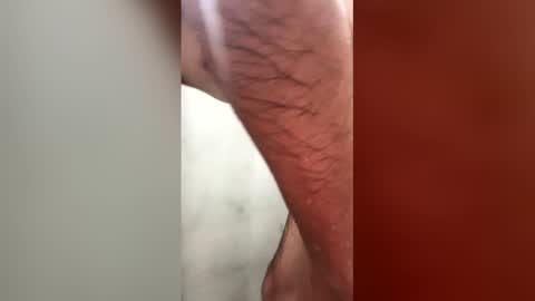 Snapshot of gustavolpz17 chatting on 1, 3, 2026 gustavolpz17 online show from 1, 3, 2026