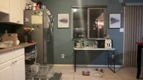 guyduder online show from 13, 11, 2025