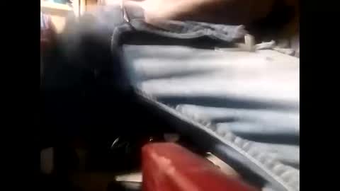 Snapshot of hacpatrick13 chatting on 2, 3, 2025 hacpatrick13 online show from 2, 3, 2025