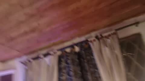 HADEZ online show from 8, 3, 2026