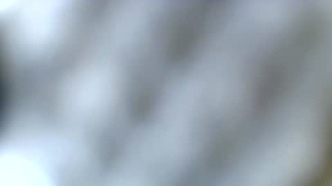 Snapshot of haileyblonde chatting on 23, 12, 2025 tatted blonde online show from 23, 12, 2025