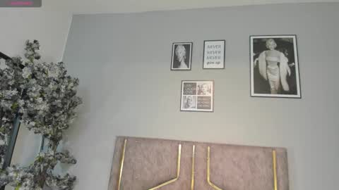 haileystonei online show from 9, 1, 2026