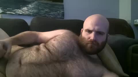 Snapshot of hairiestbear chatting on 26, 1, 2025 Hairiest Bear online show from 26, 1, 2025