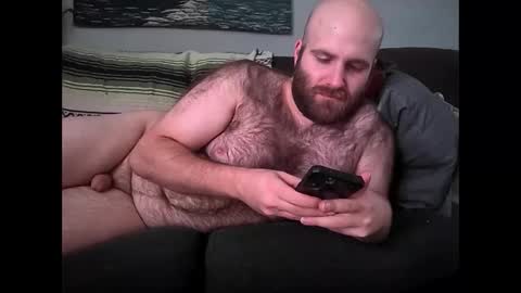 Hairiest Bear online show from 9, 2, 2026