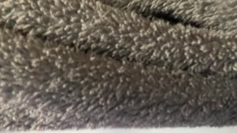 J  M online show from 8, 3, 2025