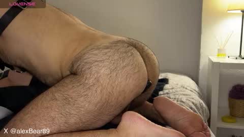 hairyarabbear online show from 12, 9, 2025