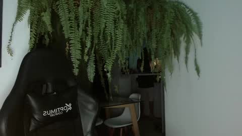 halan online show from 26, 2, 2025