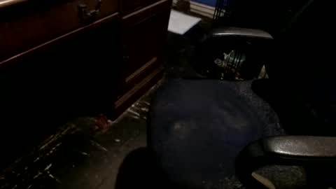 hammerhead973 online show from 22, 12, 2025