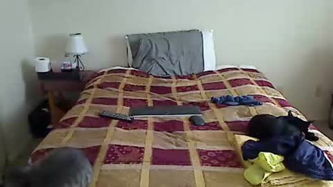 hammerthatthang73 online show from 17, 3, 2026