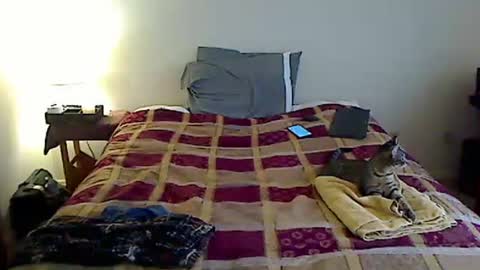 hammerthatthang73 online show from 23, 3, 2026