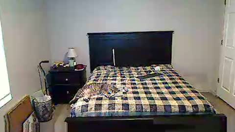 hammerthatthang73 online show from 17, 5, 2026