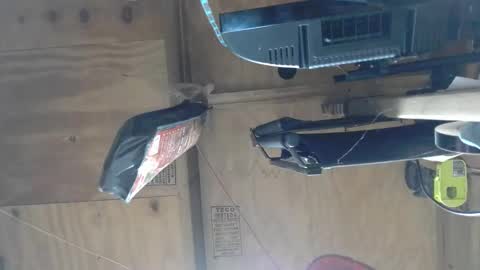 naked man online show from 8, 12, 2024