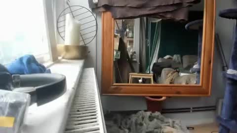 Snapshot of handncocknocum chatting on 17, 12, 2024 handncocknocum online show from 17, 12, 2024