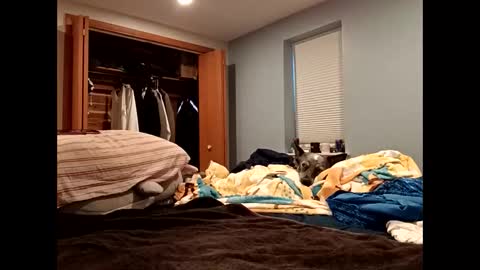 handsomedaddy198923 online show from 20, 10, 2025