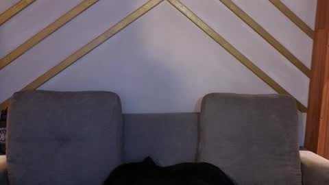 ANA online show from 22, 11, 2025