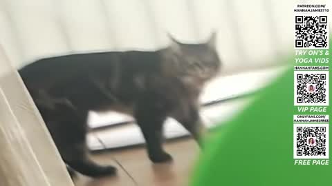 Hannah James online show from 3, 4, 2026