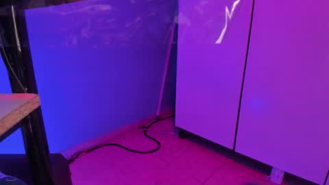 hannyk_ online show from 12, 2, 2026